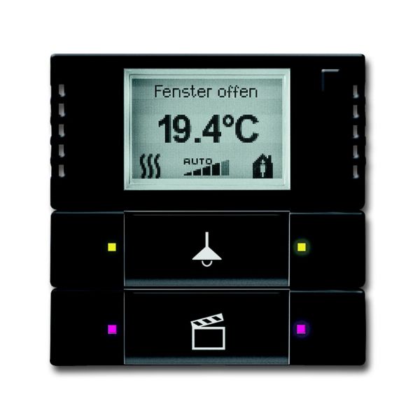 ABB 6134-0-0339 Termostatdisplay 2-polig matt Svart