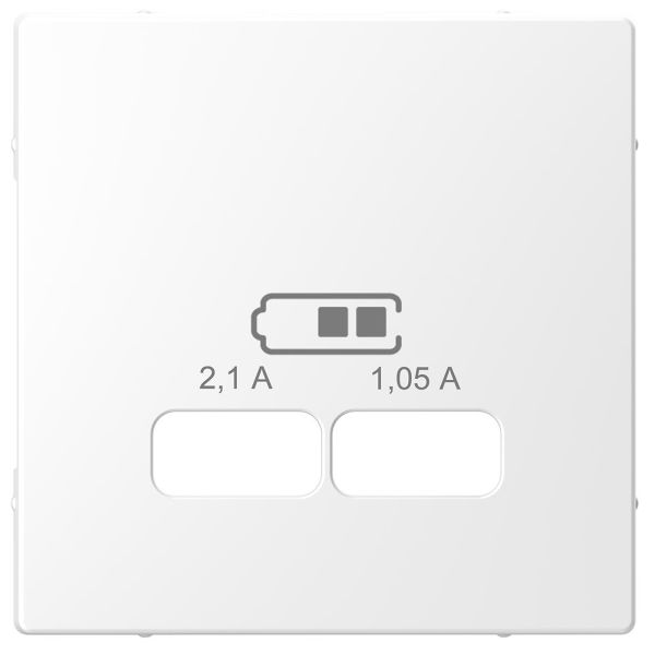 Schneider Electric MTN4367-6035 Centrumplatta 2xUSB Vit