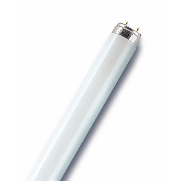 Osram Lumilux Plus Lysrör G13-sockel 830 36W Ø 26 x 1200 mm