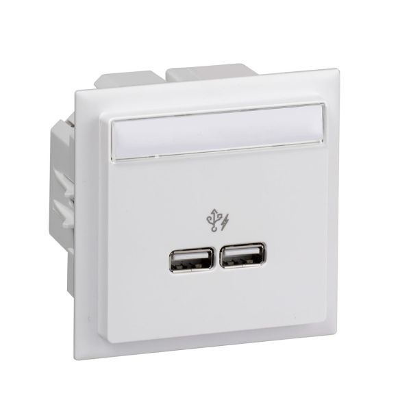 Schneider Electric INS60520 USB-laddare 2 utgångar Vit