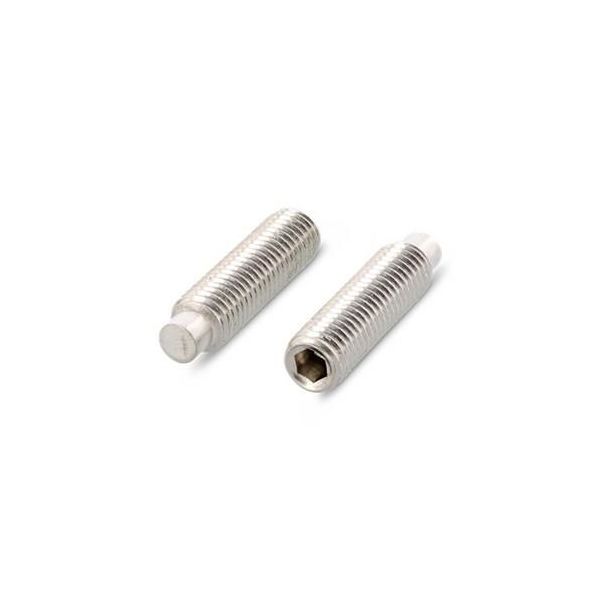 Schäfer & Peters 402825  4 Stoppskruv M5 rostfri A2 ISO 4028 500-pack M5 x 4 mm