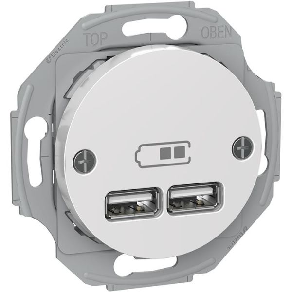 Schneider Electric Renova WDE011760 Laddstation 2 USB vit