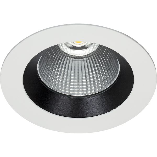 Easyform Silver Downlight standard 30W