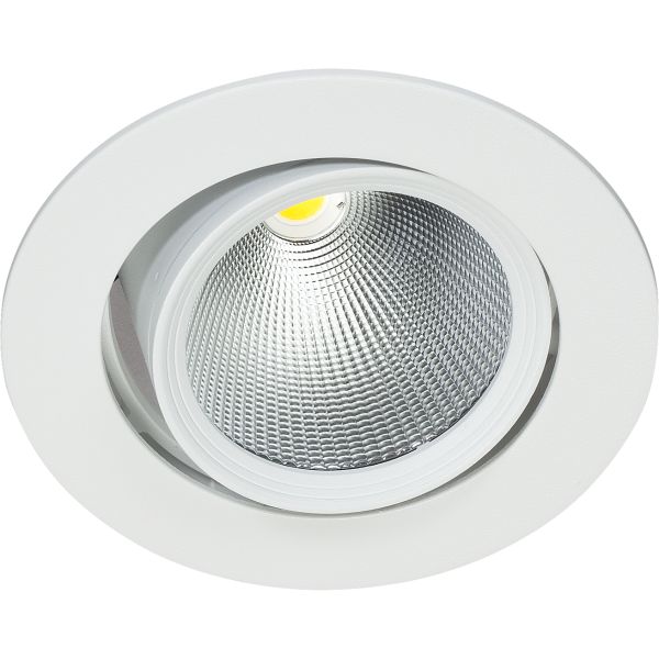 Easyform Pride Downlight ställbar 360°/ 20° 30W