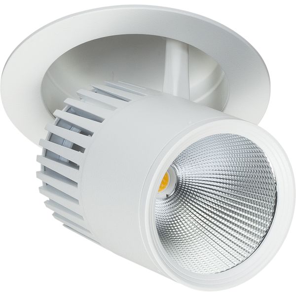 Easyform Pride Downlight ställbar 330°/ 90° 18W