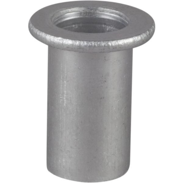 ESSVE 67222 Blindnitmutter M10 x 45 mm plant huvud 175-pack Aluminium