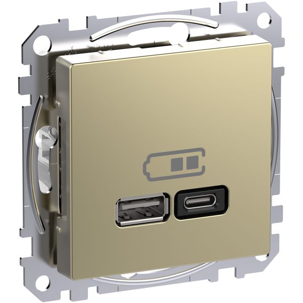 Schneider Electric Exxact WDE004983 USB-Ladduttag 2 utgångar A+C metallic