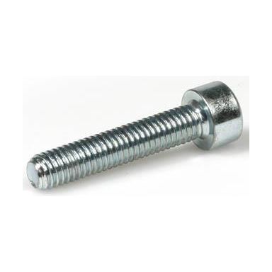 Arvid Nilsson 25805016 Insexskrue MC6S-TT, FZB, DIN 7500E
