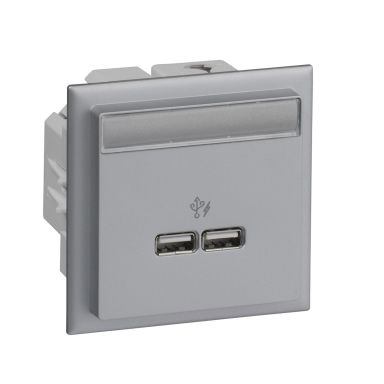 Schneider Electric INS60521 USB-laddare 2 utgångar