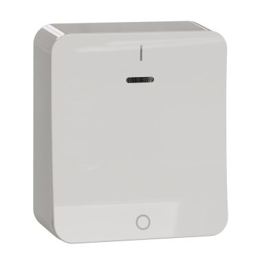 Schneider Electric Exxact Kontrollströmställare 250 V, utanpåliggande