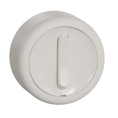 Schneider Electric Renova Kytkin 250 V