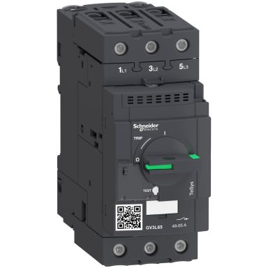 Schneider Electric GV3L65 Effektbryter