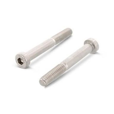 Schäfer & Peters 691226 16 Insexskrue m. regeringsførelse, MLC6S, DIN 6912