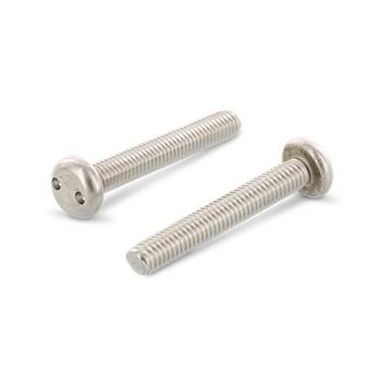 Schäfer & Peters 91012420 Säkerhetsskruv M4, med cylinderhuvud, A2, 100-pack