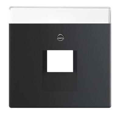 ABB 2CKA001710A3912 Centrum platta matt svart
