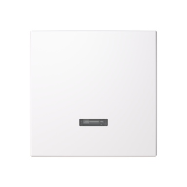 ABB Saga 6543-916-102-510 Senterplate hvit