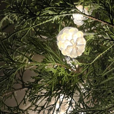 LightsOn Pine 5110 Valosarja käpyjä, 10 m, 50 LEDiä