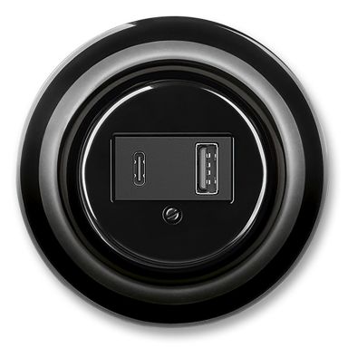 ABB 2CHK290399C4301 Uttak hunn