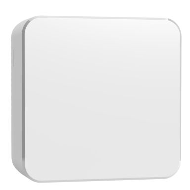 Schneider Electric WDE005033 Lamputtag