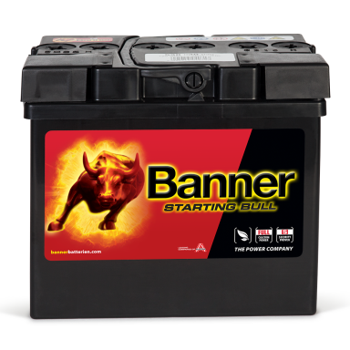 Banner Starting Bull 53030 Startbatteri 12V, 30 Ah, trädgård