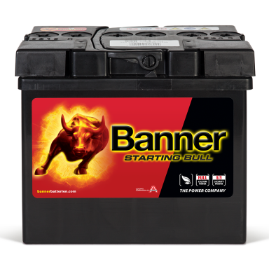 Banner Starting Bull 53034 Startbatteri 12V, 30 Ah, trädgård