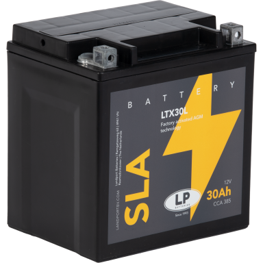 LP Batteries LPYTX30L Startbatteri 12V, 30 Ah