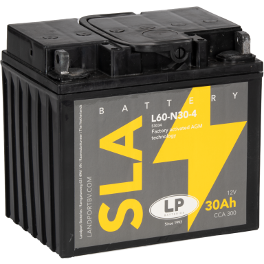 LP Batteries LPY60-N30-4 Startbatteri 12V, 30 AH