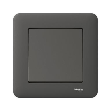 Schneider Electric Exxact WDE008422 Kytkin uppoasennus, antrasiitti