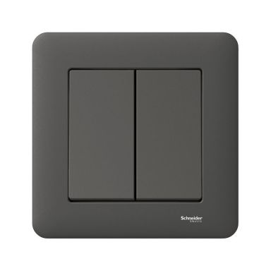 Schneider Electric Exxact WDE008417 Strömbrytare infälld, antracit