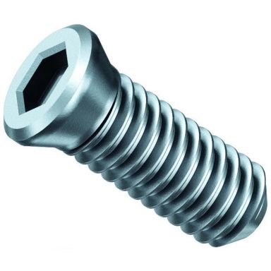 Fein 31350076000 Kiinnitysruuvi 10 kpl, malliin AKFH 18-5 Select