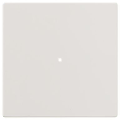 ABB Future Linear 6220-0-0601 Vippa matt