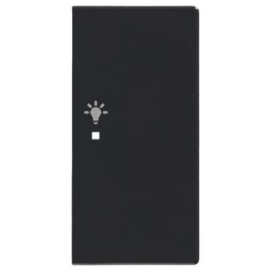 ABB Impressivo 6220-0-0167 Yksiosainen vipupainike valo, oikea