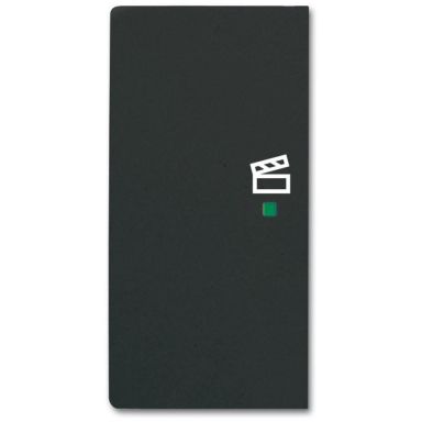 ABB Future Linear 6220-0-0626 Enkelvippa scen, svart