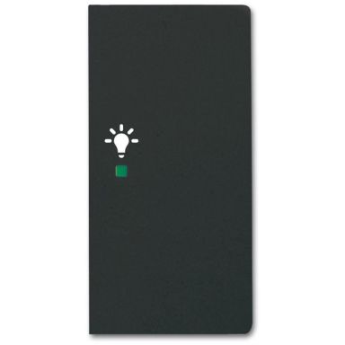 ABB Future Linear 6220-0-0629 Enkeltvippe lys, svart, matt