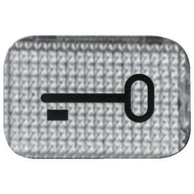 ABB 2145TR Fönster för strömställare, med nyckelsymbol