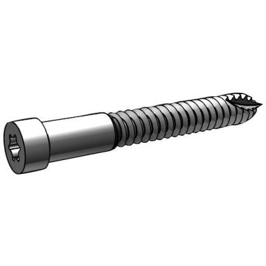 ESSVE Indu-Prog Träskruv 100-pack