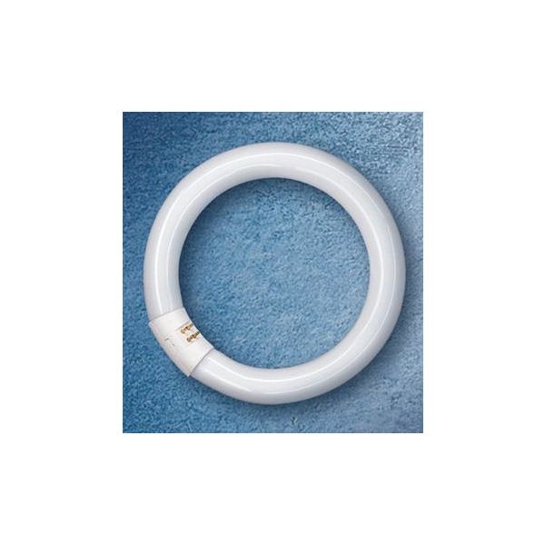 Cirkulære lysstofrør Osram LUMILUX T9 C G10Q 32W/827