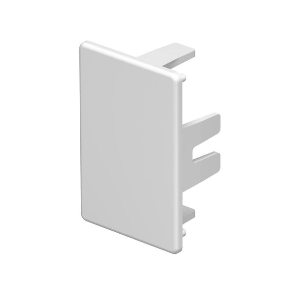 Endestykke Obo Bettermann 6175554 halogenfri, hvit 45 x 30 mm