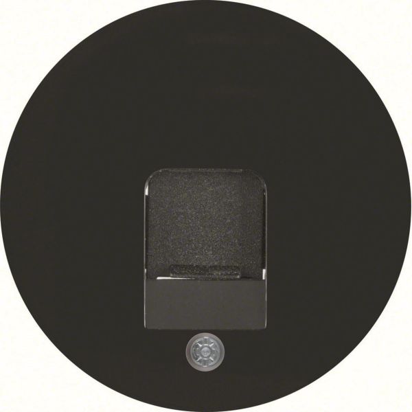 Midtbrikke Hager 11702045 for R.1, R.3 og R.C Svart, 1 modul