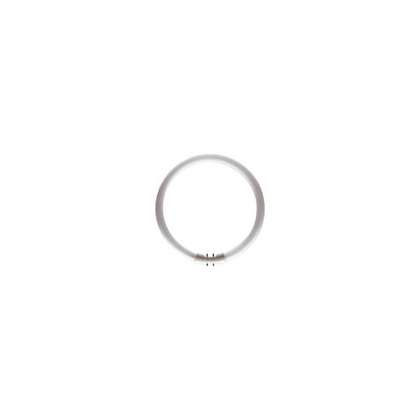 Lysstofrør Philips MASTER TL5 CIRCULAR 2GX13 Kold hvid, 3300 lm, 39,9 W