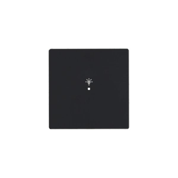 Enkeltvippe ABB Impressivo 6220-0-0140  Antrasitt