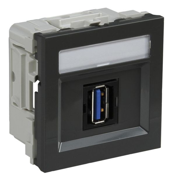 Multimedieuttak Schneider Electric INS64215 USB, med typeskilt Grå