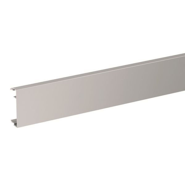 Front Schneider Electric INS13950 50 x 2500 mm Aluminium/natur