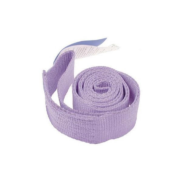 Rundsling Gunnebo M30P104 1T, violet 2 m