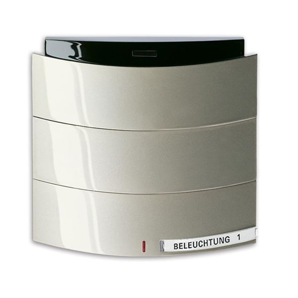 Painike ABB Busch-triton 6320-0-0006 Infrapuna, 1-napainen KNX Maalattu, matta, samppanja