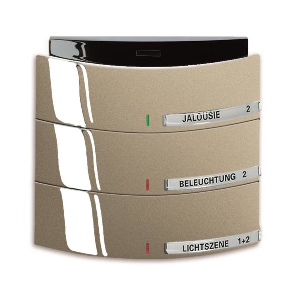 Painike ABB Busch-triton 6320-0-0020 Infrapuna, 3-napainen KNX Maalattu, matta, palladium