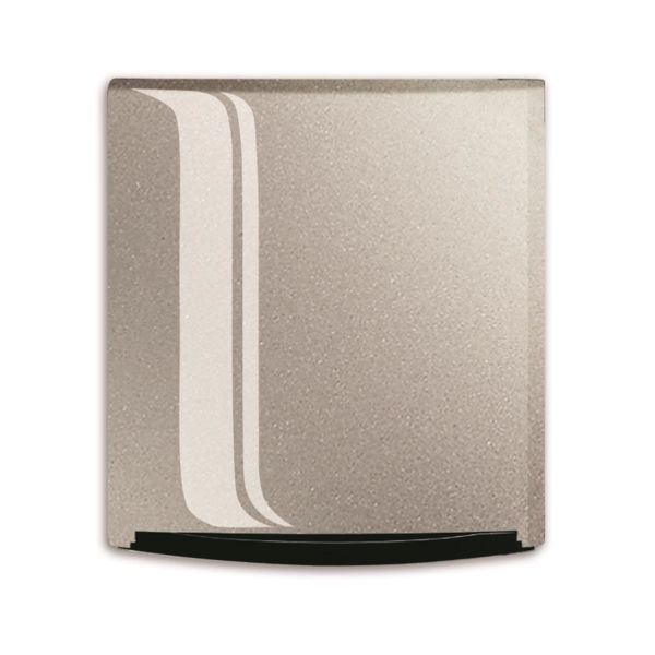 Peitekansi ABB Busch-triton 1710-0-3418  Samppanja