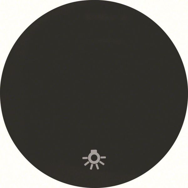 Vippearm Hager 16202035 for R.1 og R.3, svart Enkel vippe, symbol «lys»