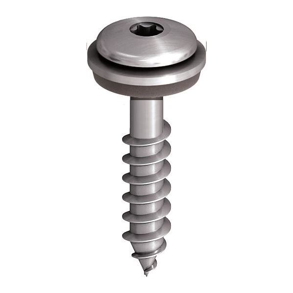 Facadeskrue Ejot 850349 lav profil, A2 4,9 x 38mm, 250-pak Med bakke