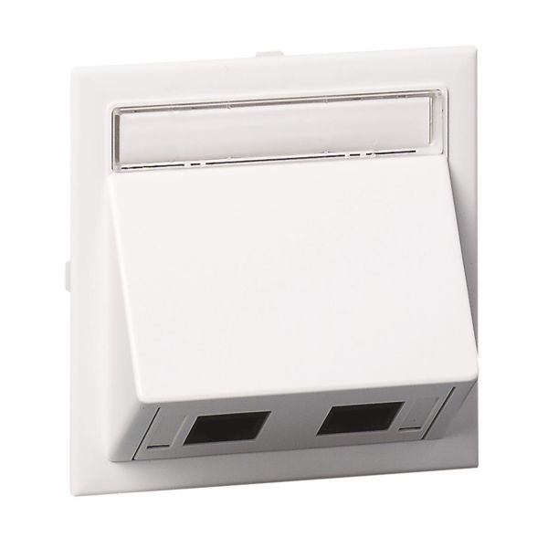HDMI-pistorasia Schneider Electric INS60510 2 liittimelle 